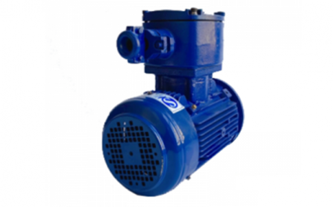 TECO Exd IICT4 Explosion-Proof Motor