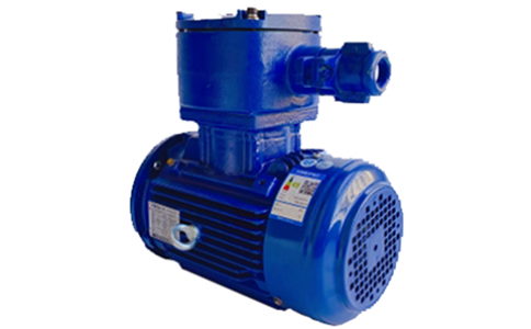 Motores a prueba de explosiones TECO Exd IIBT4